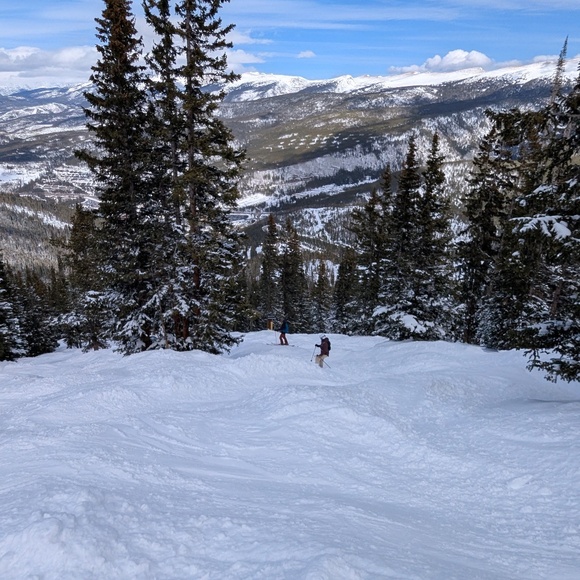 Meet your Posher, Molly - Picture 1 of 1